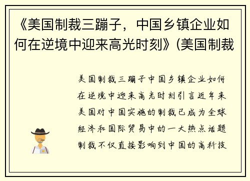 《美国制裁三蹦子，中国乡镇企业如何在逆境中迎来高光时刻》(美国制裁34家)