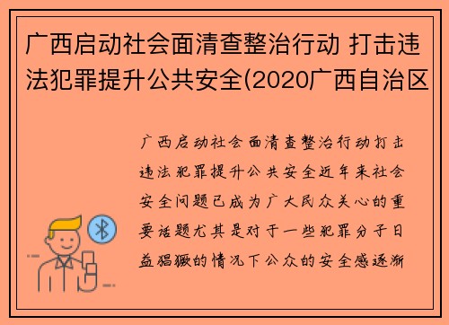 广西启动社会面清查整治行动 打击违法犯罪提升公共安全(2020广西自治区扫黄打非会议)