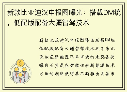新款比亚迪汉申报图曝光：搭载DM统，低配版配备大疆智驾技术